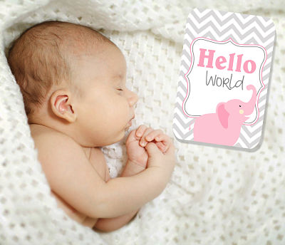 Chevron Jungle Pink Baby Milestone Cards